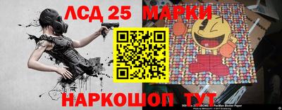 молекула духа Будённовск