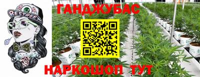 молекула духа Будённовск