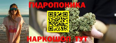 молекула духа Будённовск
