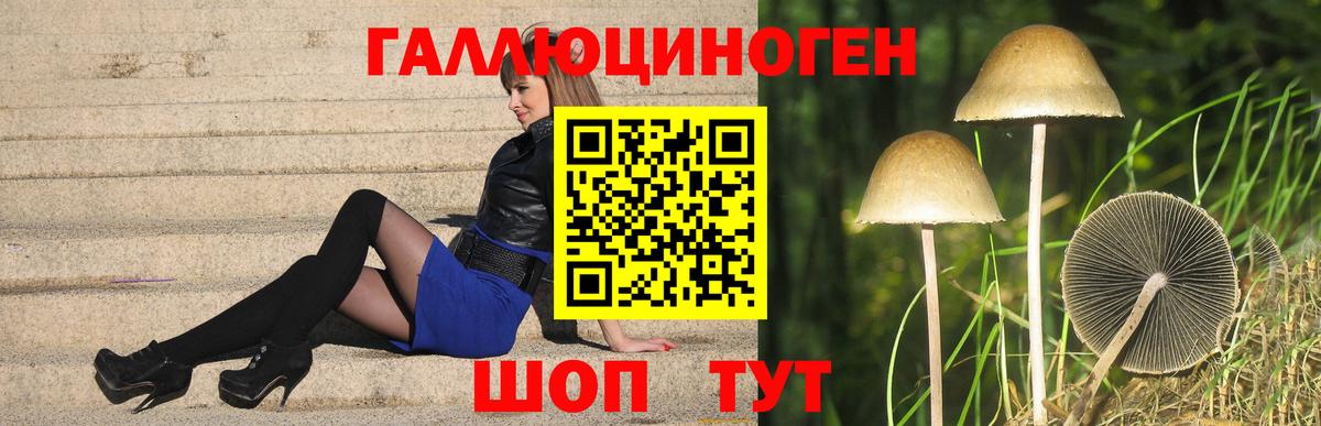Галлюциногенные грибы Psilocybine cubensis  Вход с VPN  Кушва 